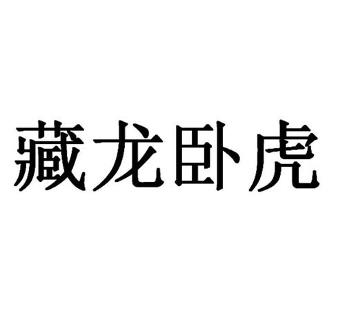 藏龙卧虎：揭示隐藏人才的智慧