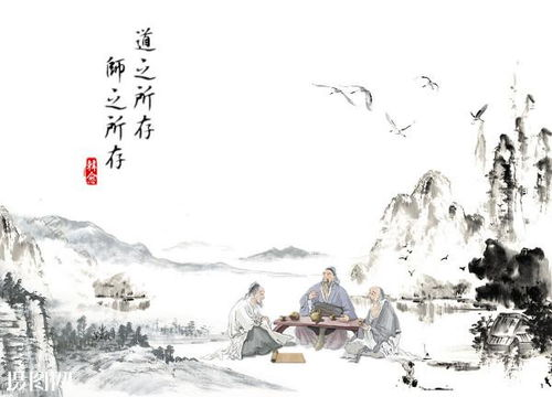 春归人老：时光流转与人生智慧解析
