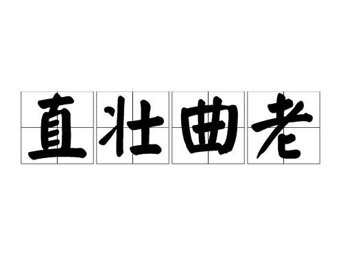 一、直壮曲老的出处与字面解析
