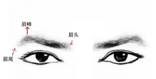 看文老眼的定义与表现