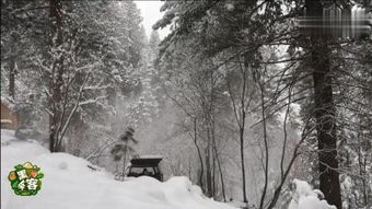 白雪皑皑的形成原理