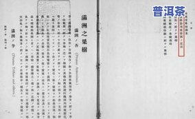 沸沸扬扬,社会热点现象解析-深度剖析