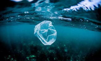 自然界的深不可测:海洋与宇宙的奥秘