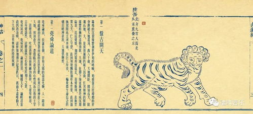 老天拔地,传统文化解读-历史渊源与现代价值