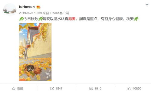 老成见到,成熟稳重的智慧-人生发展指南