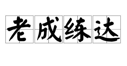 老成练达,处世智慧与人生阅历的完美融合