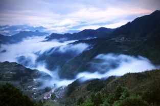 青山不老,永恒与坚韧的象征-深度解析