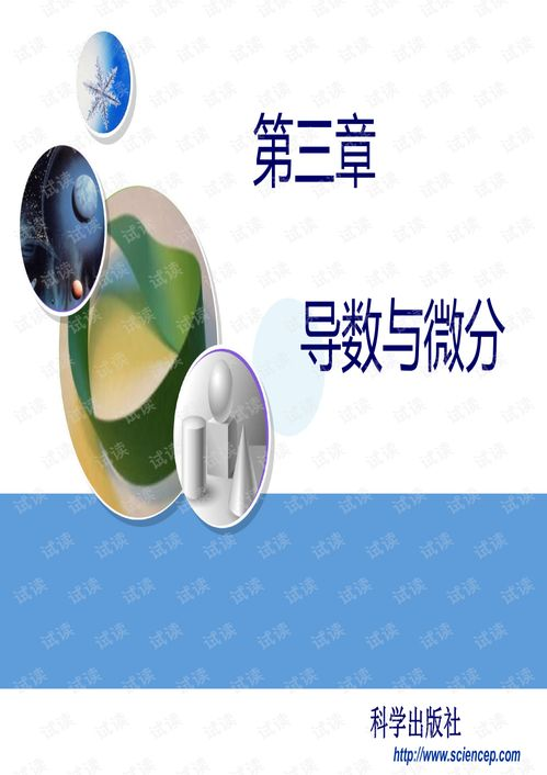 老婆当军,现代家庭分工新趋势-全面解析
