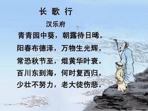 老大徒伤,资深人士的困境与突破-全方位解析