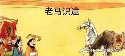 老马识途,经验智慧的象征-人生启示录