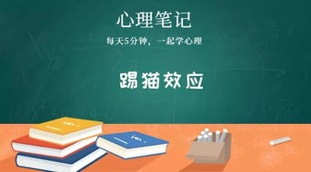 不甘示弱：如何在竞争中保持优势的全面解析