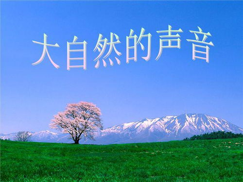 不绝于耳：声音的多样性与生活影响解析
