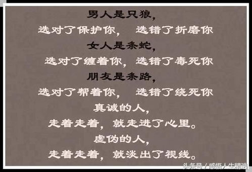 不知深浅：探索未知的智慧与挑战