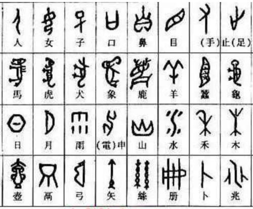 不足为奇：成语解析与生活应用指南
