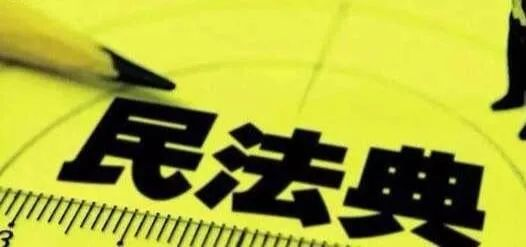 弱不禁风，多维度解析与应对策略