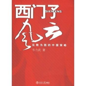 反败为胜,逆境中的突破-策略与技巧解析