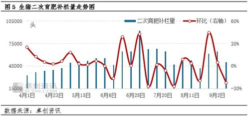 举足轻重：关键时刻的决策艺术与策略