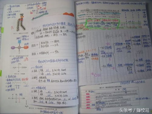 由此及彼思维模式：从现象到本质的认知智慧
