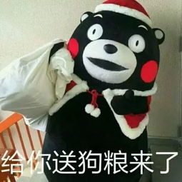 虐老兽心,老年动物保护-现状分析与解决方案