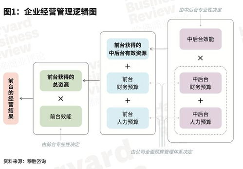 后台老板,企业幕后掌舵者-全方位解析