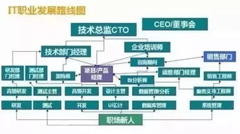 五、软技能与职业规划