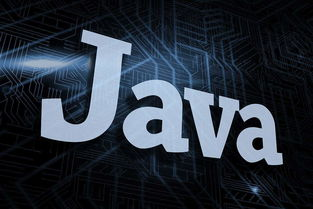 五、Java编辑器手机版的安全与隐私保护