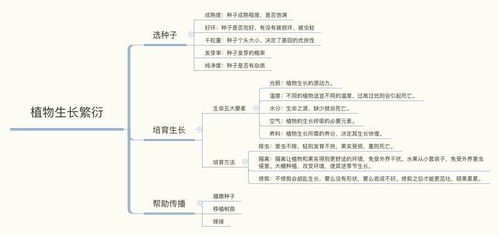五、源码的定制与优化