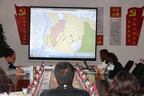 二、关键词研究与优化