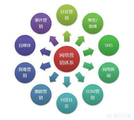 一、电商SEO的基本概念