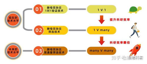 三、关注流量使用规则和限制