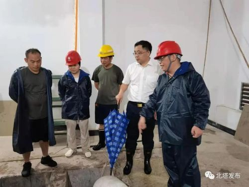 二、防汛工作的实施策略