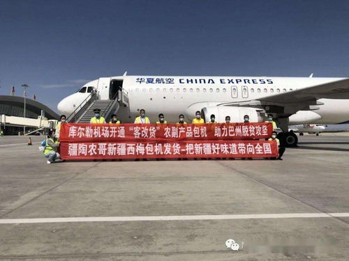 一、龙嘉机场航空货运的核心竞争力
