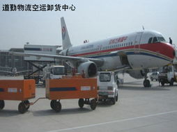 一、龙嘉虫草航空货运的品牌价值