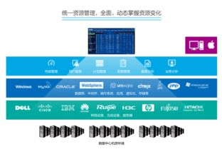 一、高效运输解决方案