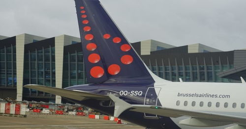 一、龙嘉机场航空货运的独特优势