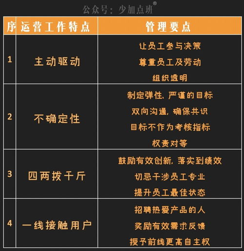 H3:专业的运营团队