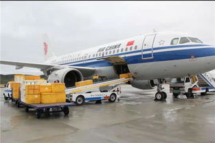 一、龙嘉机场国内空运的优势