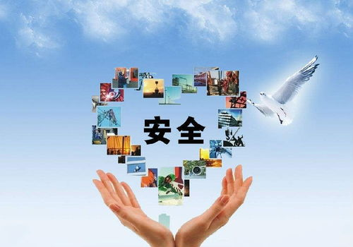 安全保障