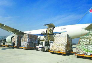 为什么选择龙嘉航空货运当天件
