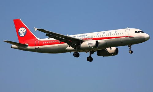 一、高效准时的航空货运服务