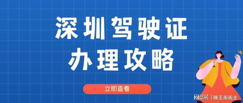 北京国内空运物流青岛——快速连接首都与海滨城市的桥梁