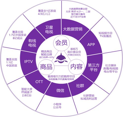 从内容生产到平台运营的跨越