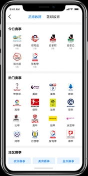 360体育直播平台的赛事覆盖矩阵
