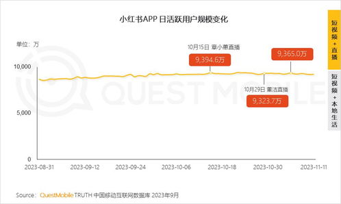 用户规模与平台定位调整