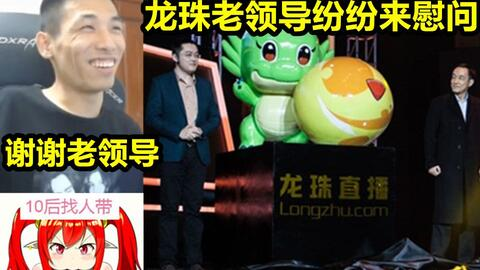 从龙珠到苏宁的蜕变历程