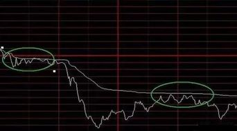 龙珠直播人都去哪里了,现在龙珠直播的主播都去哪了
