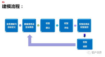 实时赛事覆盖与多维度服务