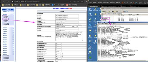 178体育app官网下载 android 怎么设定,178体育频道