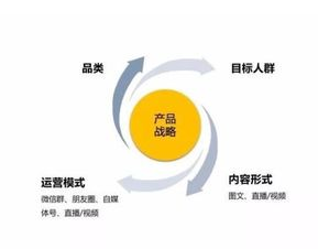 专业体育数据服务平台运营模式解析