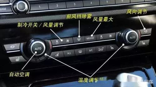 斗球直播核心功能解析